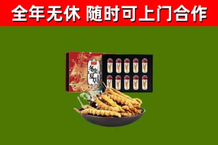 乌海市烟酒回收冬虫夏草礼盒.jpg
